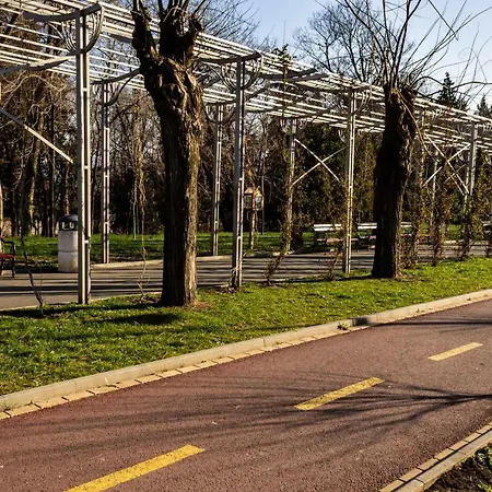 New Star * Burgas City